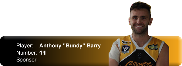 Anthony Bundy Barry