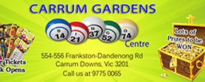 Carrum Downs Bingo